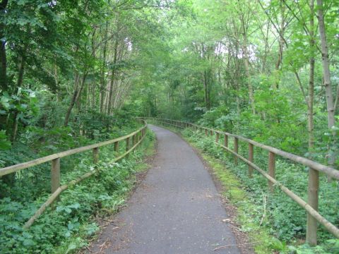 Zwischen Bad Lauterberg und Odertal