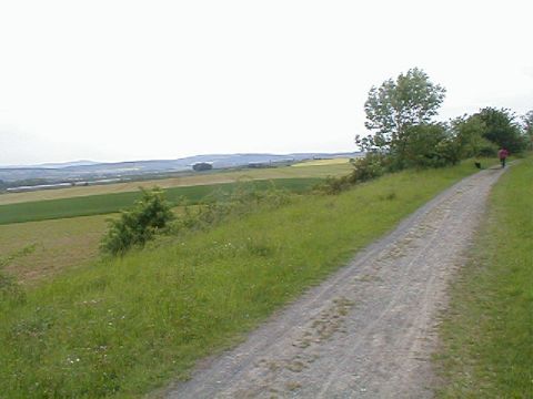 Bogen am Wartberg