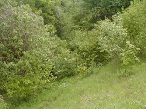 Ehemalige Br�cke der G�ttinger Stra�e