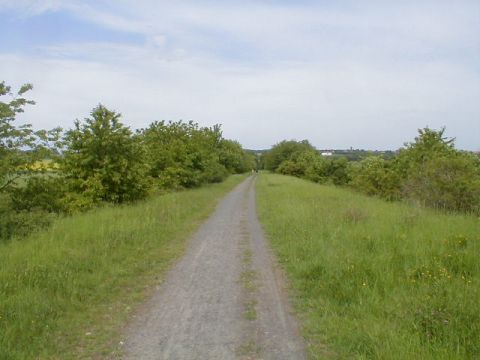 Zufahrt zum Bogen am Wartberg