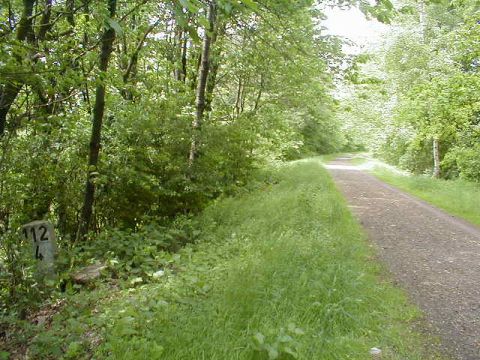 Zwischen Autobahnbr�cke und Gro�-Ellershausen