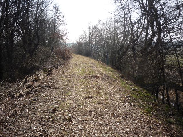 Br�cke �ber den Dommersbach