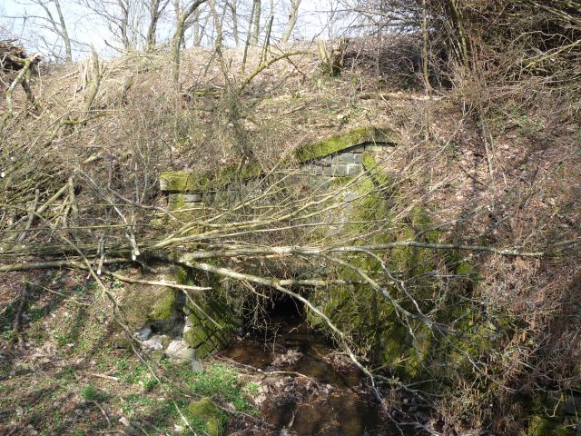 Durchlass des Gro�wiesbachs