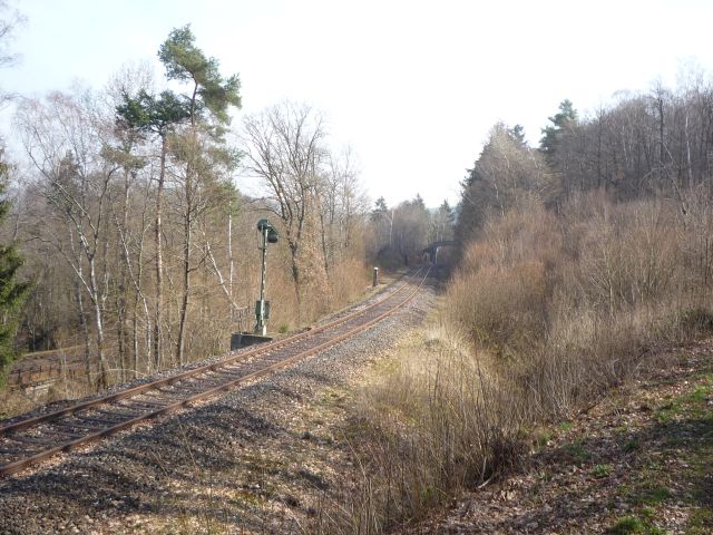 Signal T�rkism�hle