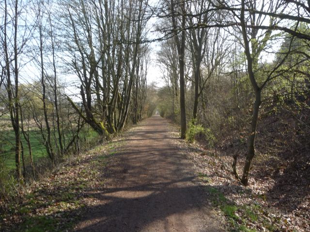 Zwischen Otterbach und Erlenbach