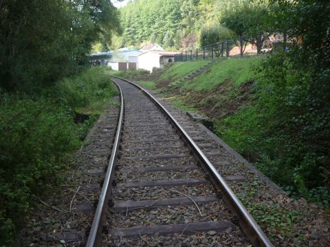 Brcke ber einen Seitenkanal des Speyerbachs