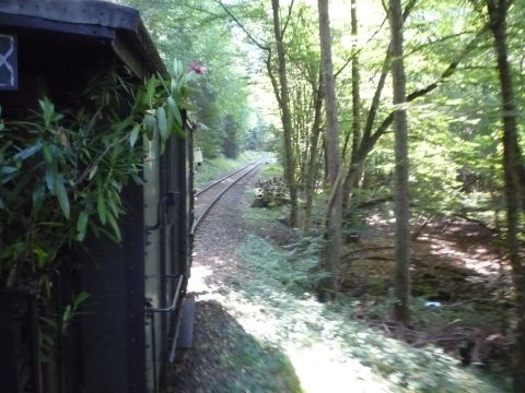 Zwischen Erfenstein und Breitenstein