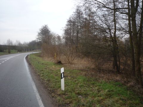 Zwischen Heuchenheim-Klingen und Klingenmnster
