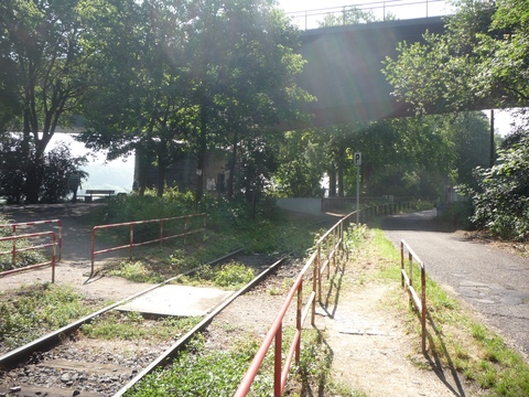 Brcke ber den Rhein