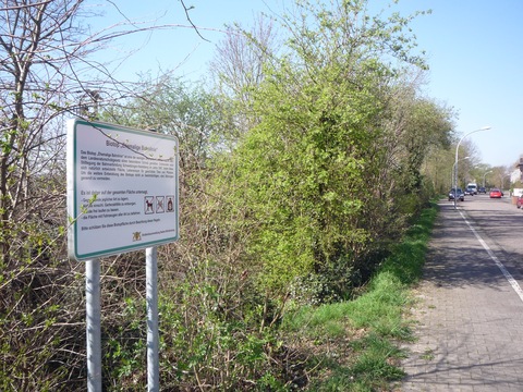 Zwischen Plankstadt und Schwetzingen