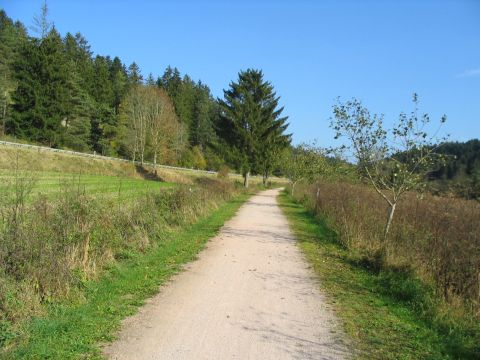 Trasse zwischen Marbach und Bad Drrheim