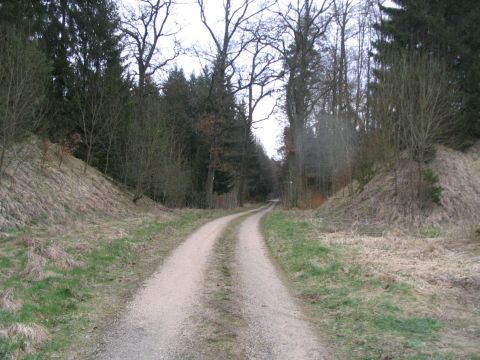 Ehemalige Brcke beim Wusthau Weiher