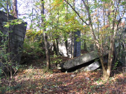 Testgel�nde Raderach