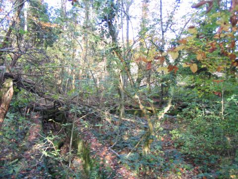 Testgel�nde Raderach