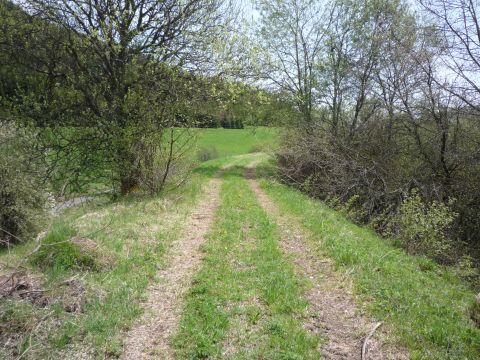 Brcke ber den Harresbach