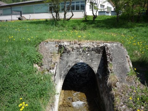 Brcke ber den Reichenbach