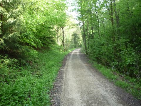 Zwischen Denkingen und Gosheim