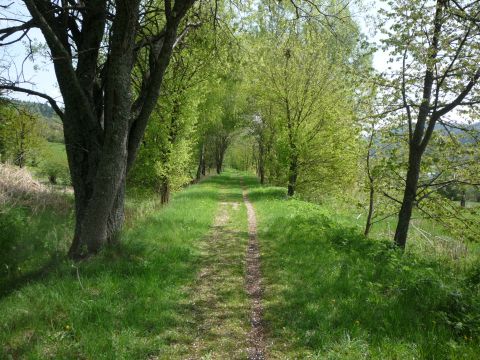 Zwischen Gosheim und Wehingen