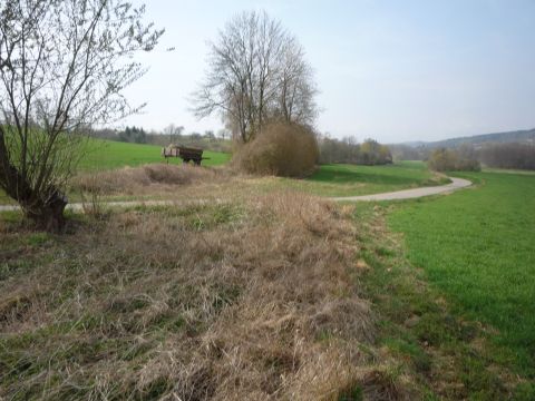 Bahnübergang zwischen Ellmendingen und Weiler