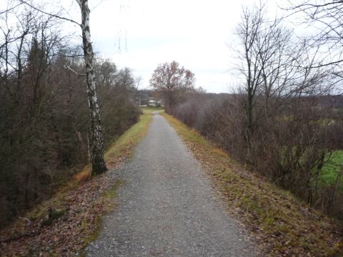 Damm zwischen Birkenfeld und Gräfenhausen