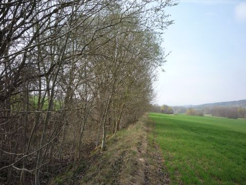 Bahnübergang zwischen Ellmendingen und Weiler