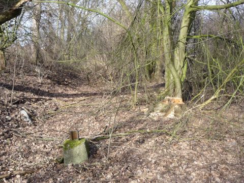 Zwischen Bahnw�rterhaus und Wilhelmshof