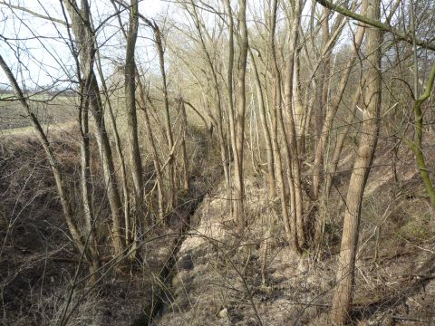 Zwischen Wilhelmshof und B 27