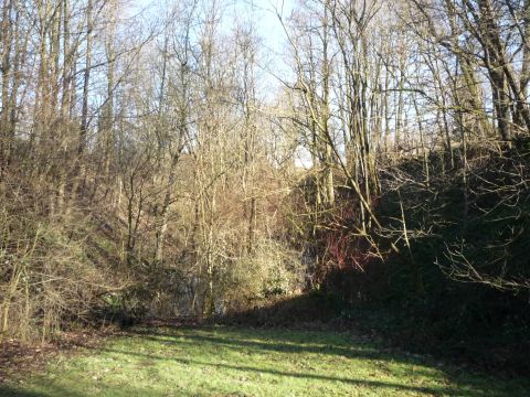 Einschnitt vor dem Bahnhof Asbach