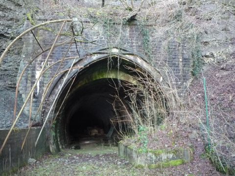 Nordportal des Kalksbergtunnels