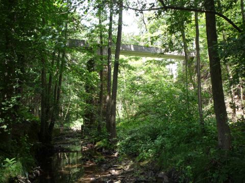 Brcke ber den Trienzbach