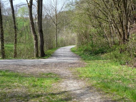 Zwischen Ilsfeld und Schozach