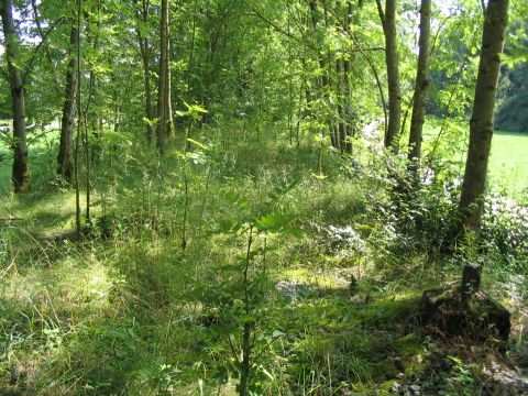 Zwischen Unter- und Oberbbingen