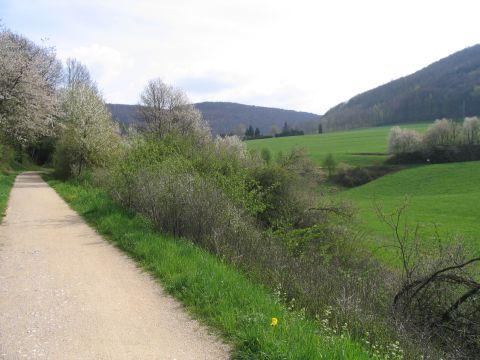 Vor der Brcke ber den Pflaumbach