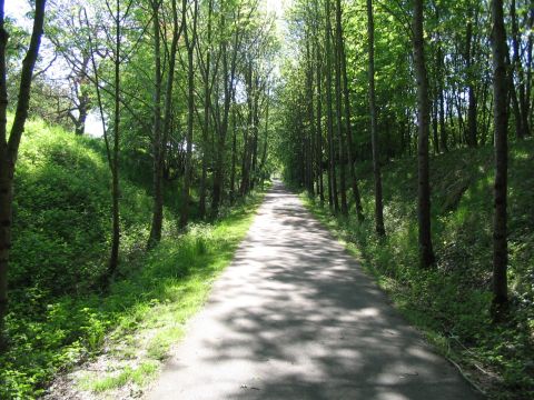 Zwischen Wittislingen und Zschlingsweiler