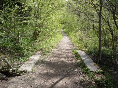 Zwischen Kennelbach und Fluh
