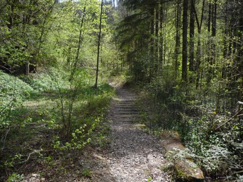 Brcke zwischen Rickenbachtunnel und Wirtatobel