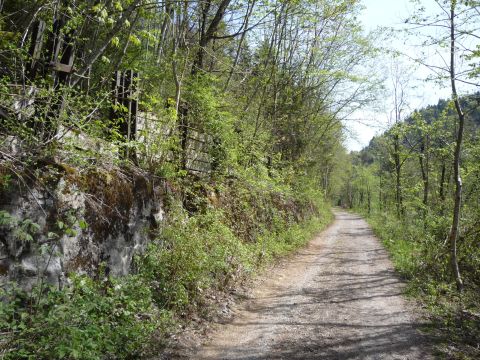 Zwischen Kennelbach und Fluh