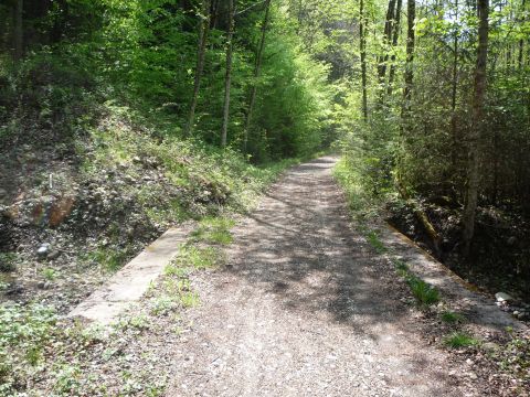 Zwischen Oberlangenegg und Lingenau-Hittisau