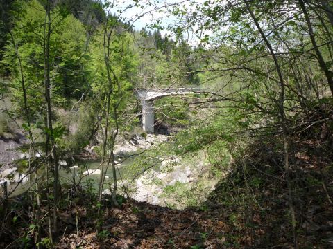 Zwischen Oberlangenegg und Lingenau-Hittisau