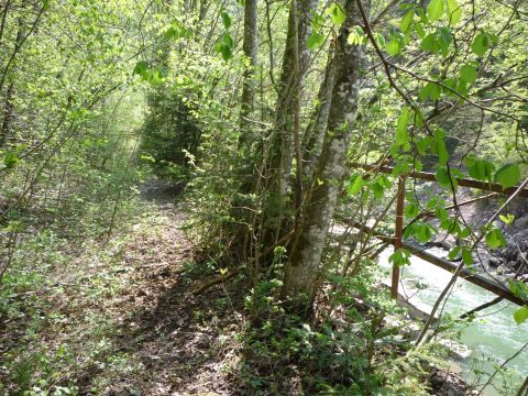 Zwischen Oberlangenegg und Lingenau-Hittisau