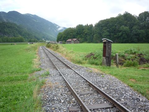 Hinter Reuthe
