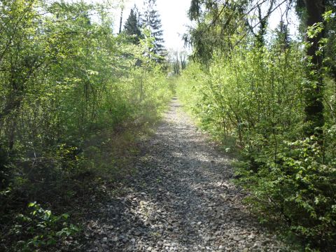 Zwischen Rieden und Kennelbach