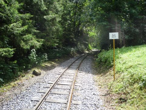 Vor Reuthe