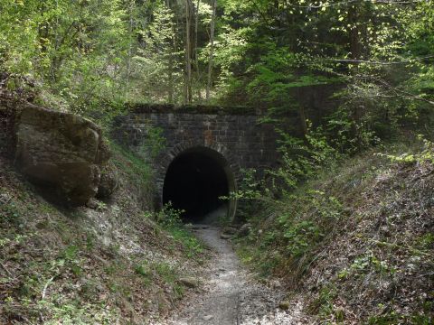 Westportal des Rotachtunnels