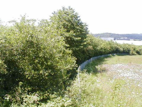 Zufahrt zum Industriegebiet