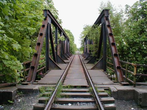 Brcke ber die Felda 1