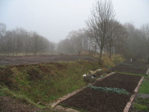 Trasse zwischen Sch�nau und Georgenthal