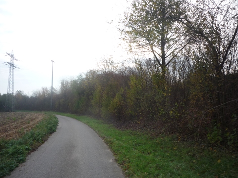 Damm Wiesloch-Walldorf