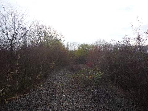 Damm Wiesloch-Walldorf