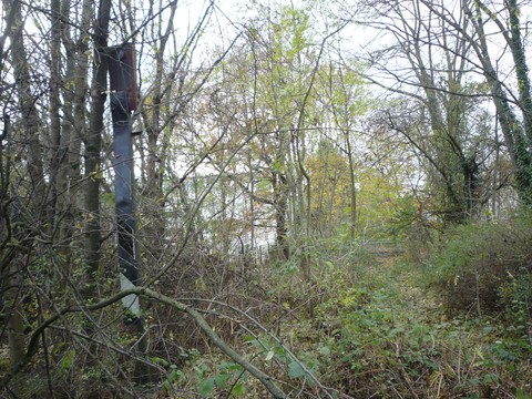 Zwischen Wiesloch-Walldorf und  Wiesloch Stadt